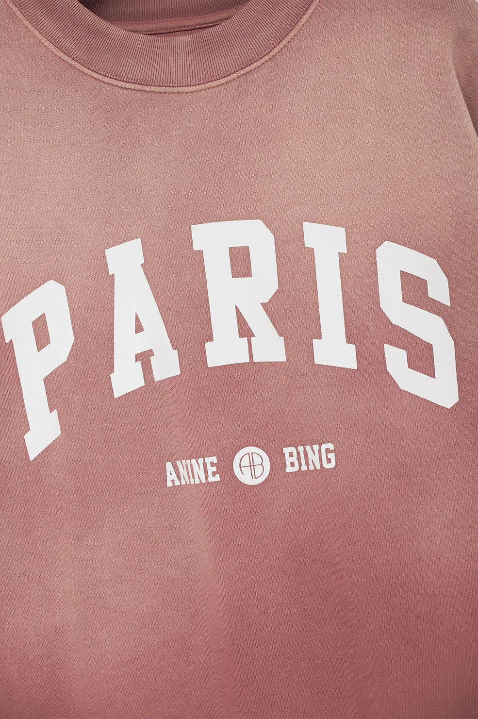 Jaci Sweatshirt University Paris Washed Faded Terracotta