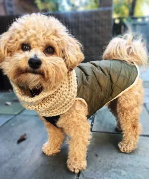 QUILTED SHEARLING OLIVE DOG JACKET